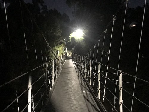 Spruce Street Suspension Bridge after dark
