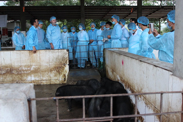 Training on meat inspection, 3-4 December 2018, Hoa Binh Province, Vietnam