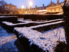 snow on the maze