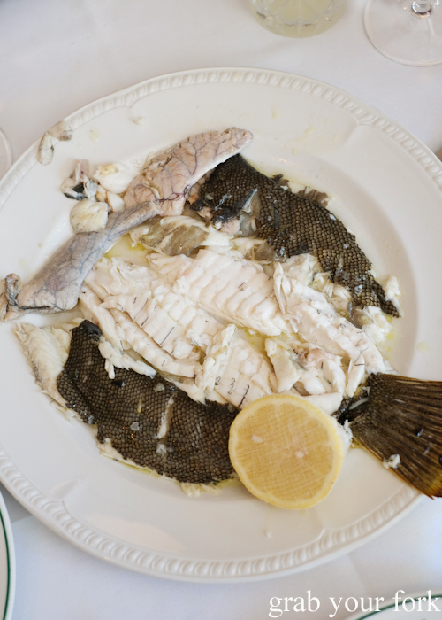 Yellow belly flounder at Bert's in Newport by Merivale