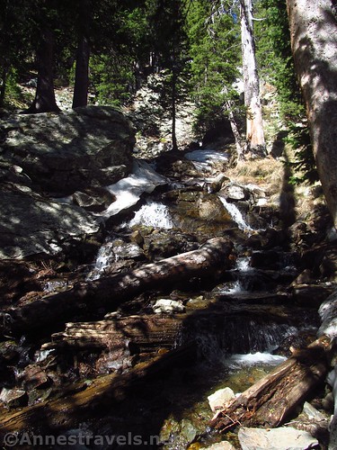 The stream below Williams Falls, Carson National Forest, New Mexico