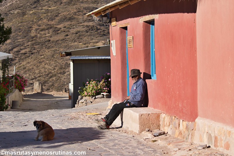 Región de Arica y Parinacota: indescriptible altiplano andino (nov-2018) - Por el sur del mundo. CHILE (5)