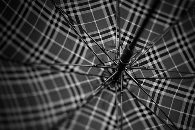 2018.11.12_316/365 - umbrella