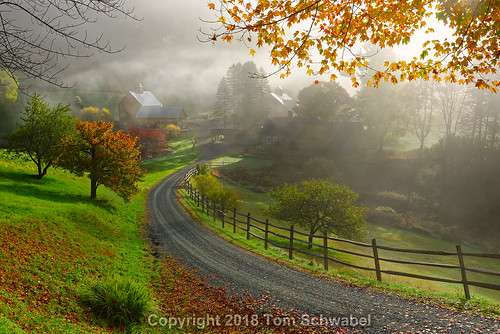vermont trees autumn farm landscape foliage house grass newengland tree scenic fall fence leaves countryside road usa barn hill pasture rural fog building maple morning mist tomschwabel