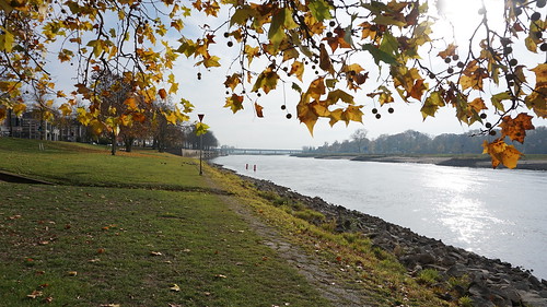 river ijssel deventer thenetherlands zonlicht herfst