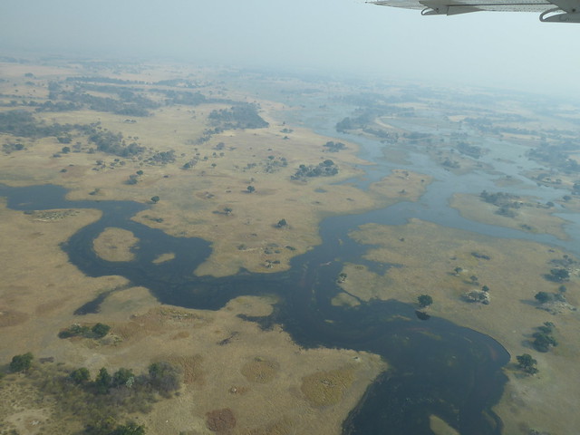 Vuelo sobre el Delta del Okavango. Llegamos a Moremi. - POR ZIMBABWE Y BOTSWANA, DE NOVATOS EN EL AFRICA AUSTRAL (9)