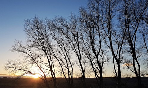 tyneandwear tyneyard samsung s7 cameraphone lamesley railway railwayyard trees clouds sky sunset landscape row