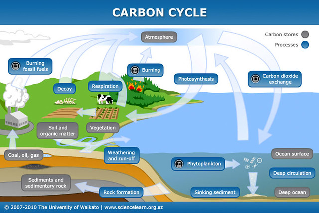 Carbon-cycle20160930-22732-cmhfg2