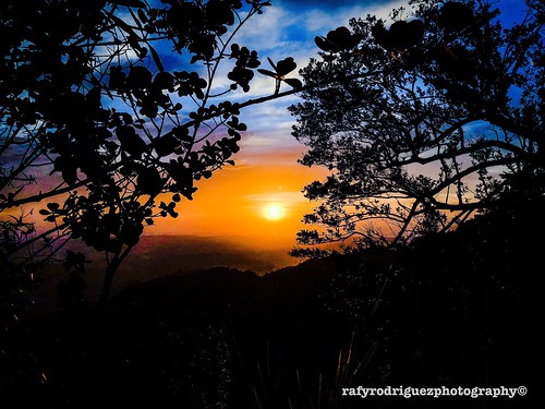 cupey maría montañas atardecer puertorico maricao mountain bluesky sunset forest