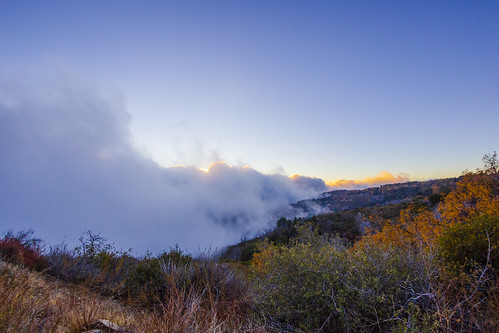 fog palomarmountain foggy clouds sky weather autumn fall colors sunset california palomar evening