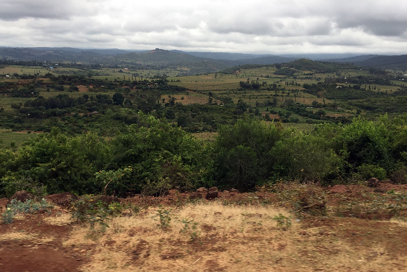 Tanzania countryside