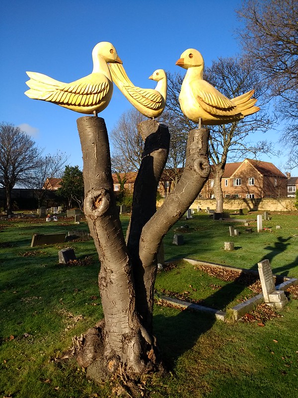 Redcar Cemetery Doves