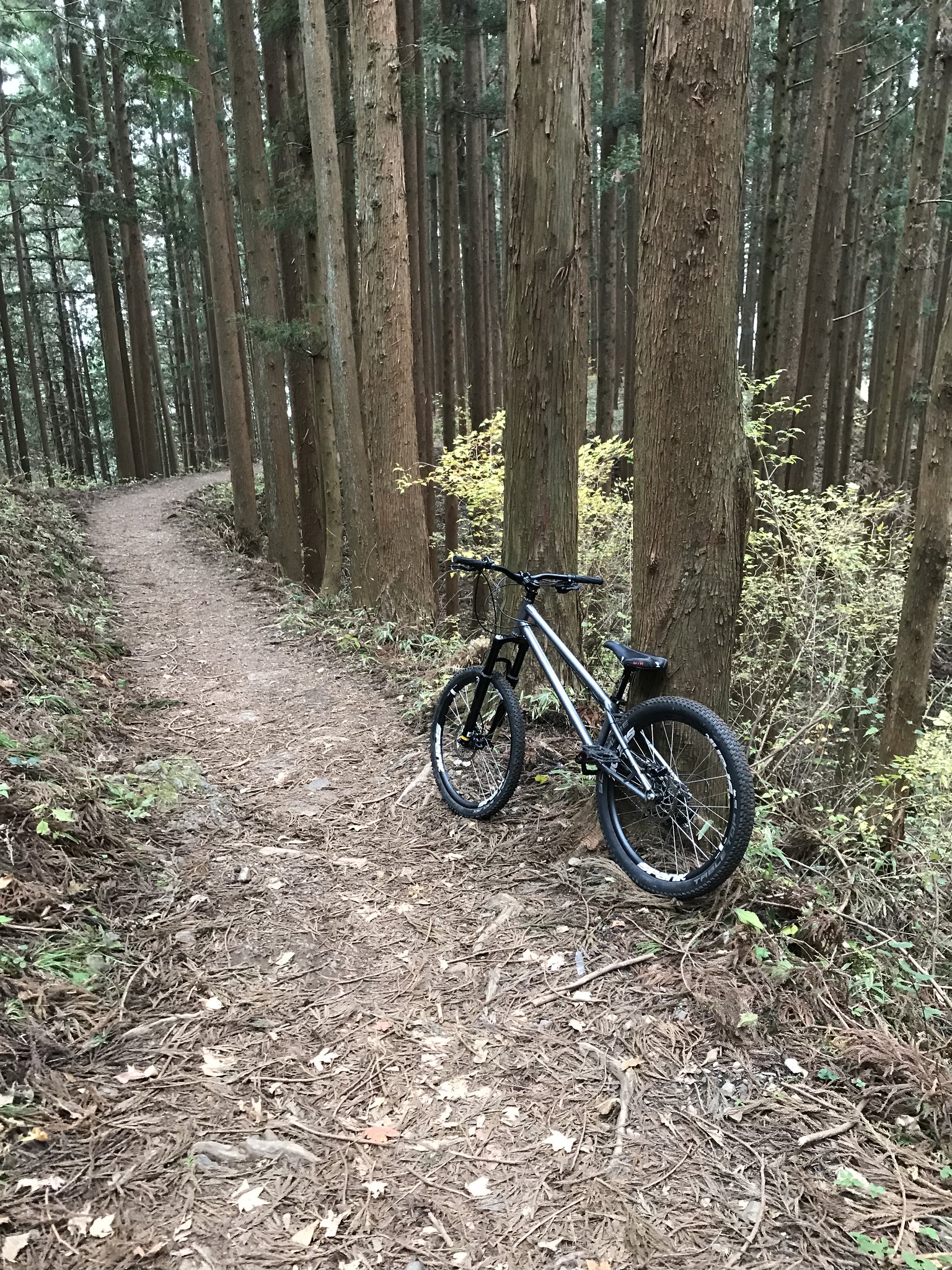 Trail ride in Tokyo