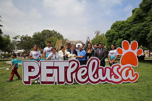 Autoridades entregaron detalles sobre lo que será PetPelusa en La Serena | 24.01.19