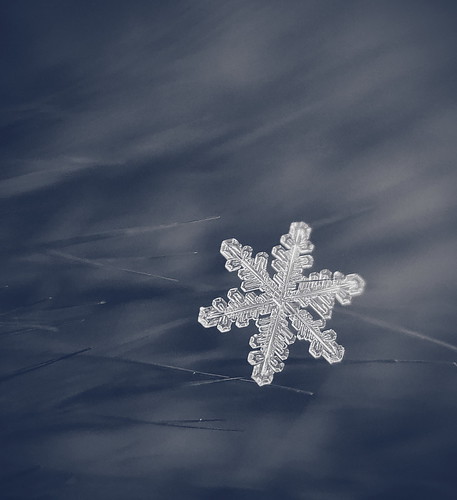 snowflake macro snow winter mi8 xiaomi astana