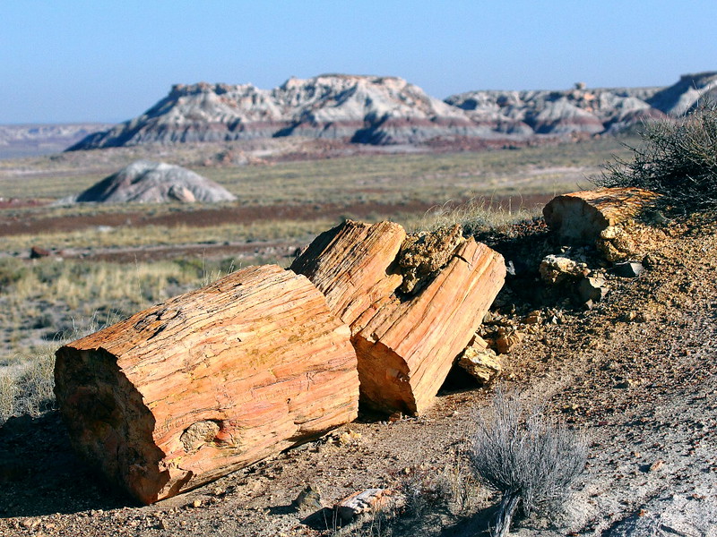 IMG_3358 Crystal Forest, Petrified Forest National Park