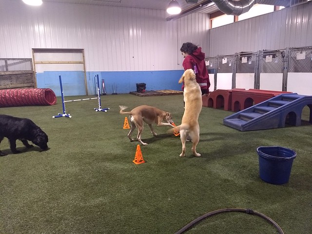 1-24-19 Obstacle Course! :)