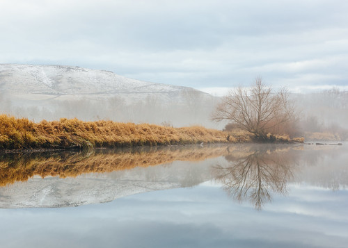 nature landscape fog foggy pond reflection water morning overcast cloudy tree ellensburg washingtonstate canoneos5dmarkiii canonef2470mmf28lusm