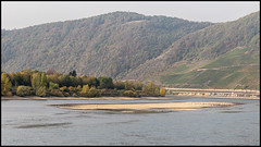 Low Water Rhine
