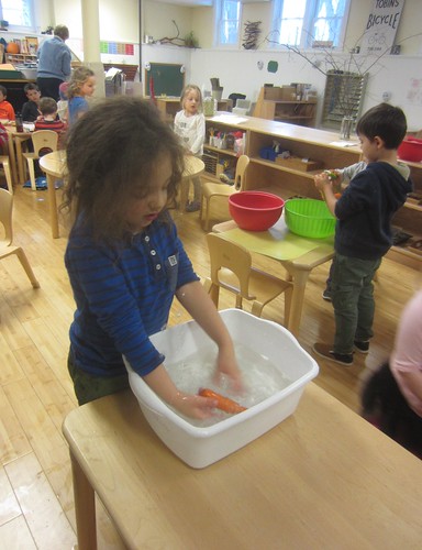 washing a carrot
