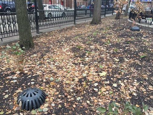 Longfellow Park, Bronx—Community Parks Initiative
