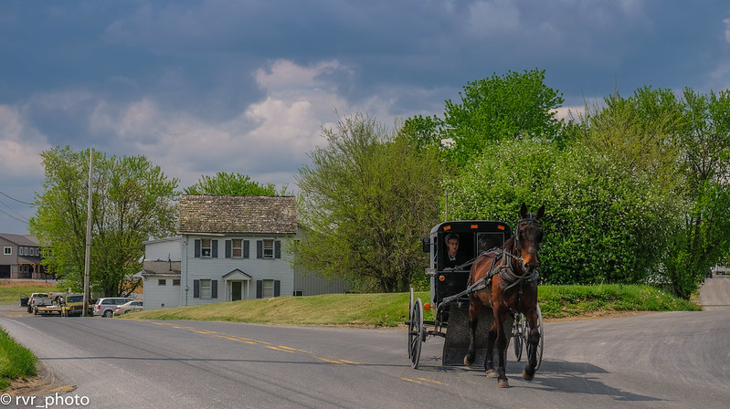 Amish