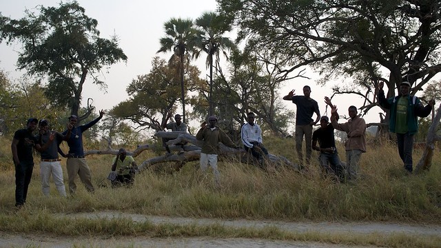 Vuelo sobre el Delta del Okavango. Llegamos a Moremi. - POR ZIMBABWE Y BOTSWANA, DE NOVATOS EN EL AFRICA AUSTRAL (3)