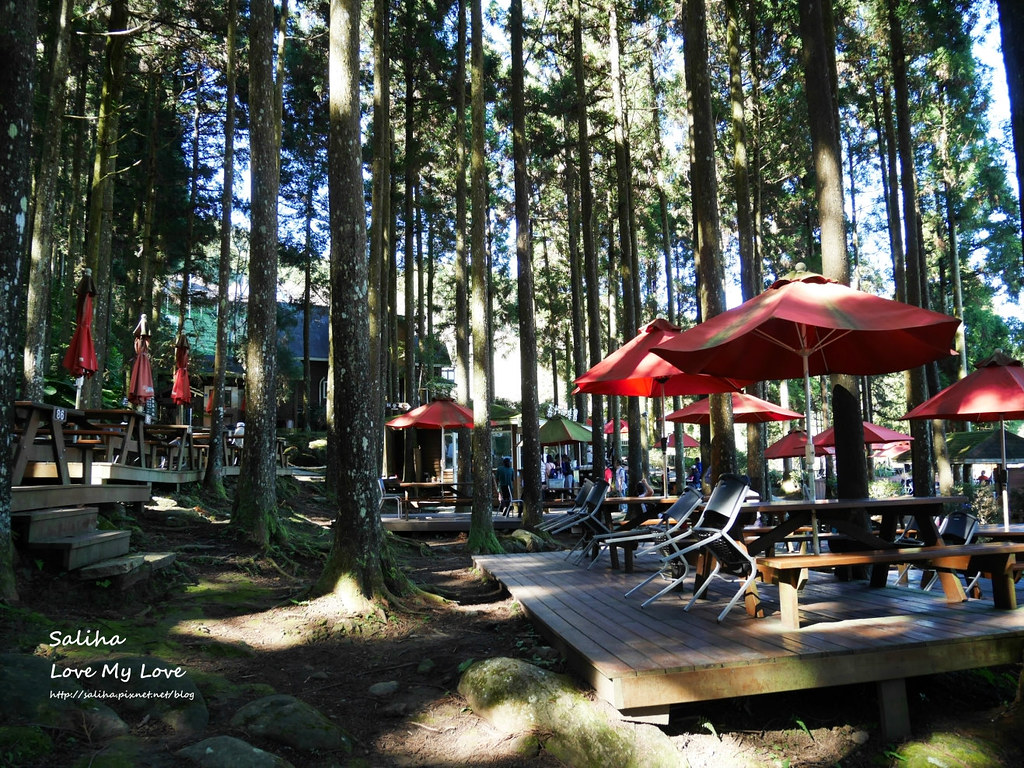 新竹一日遊必玩景點推薦山上人家景觀餐廳森林咖啡館 (28)
