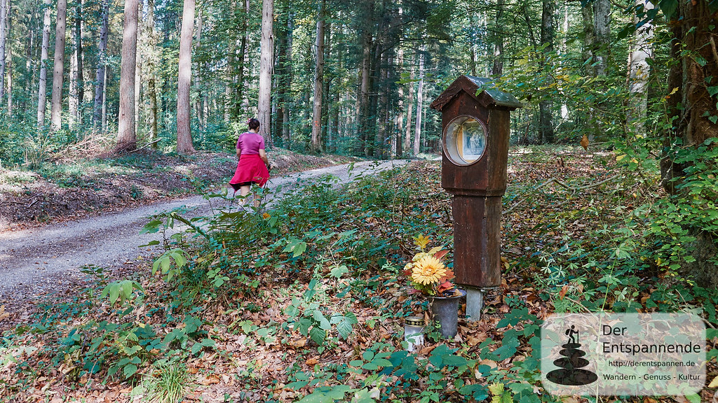 Im Wald zwischen Ludwigshafen und Stockach