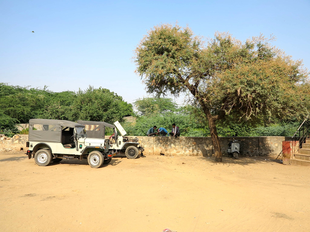 Safari en Ranthambore