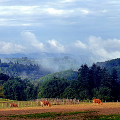 Haute-Vienne, Limousin, France - Photo of Châteauneuf-la-Forêt