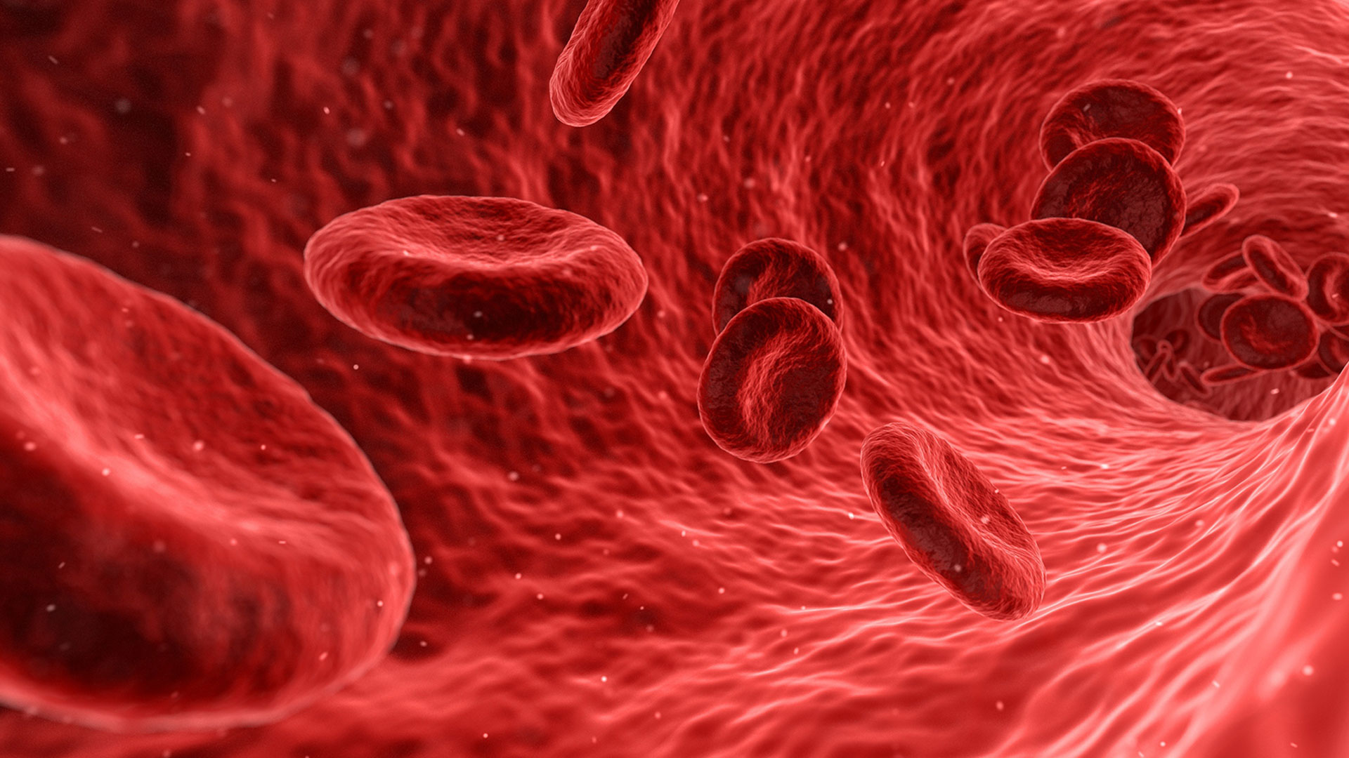 Computer graphic showing red blood cells in the body