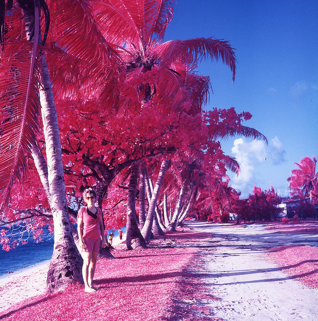 Red Palms
