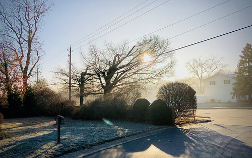 shadow fog street road house tree springfield illinois morning sunrise december 2018