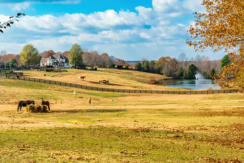 fairview fairviewheights fall farm hdr hiking landscape nature sonya6500 sonyimages tennessee usa unitedstates outdoors exif:focallength=44mm exif:isospeed=400 camera:make=sony exif:lens=epz18105mmf4goss exif:make=sony geo:location=fairviewheights geo:lat=3596496 geo:state=tennessee geo:country=unitedstates exif:aperture=ƒ95 geo:city=fairview geo:lon=87151321666667 camera:model=ilce6500 exif:model=ilce6500