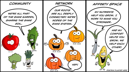 Community vs Network vs Affinity Space