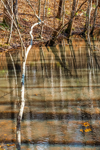 fairview fall hdr hiking landscape nature sonya6500 sonyimages tennessee usa unitedstates valleygreenestates outdoors exif:isospeed=400 exif:focallength=40mm exif:lens=epz18105mmf4goss exif:make=sony geo:country=unitedstates geo:lat=35976275 geo:location=valleygreenestates geo:state=tennessee geo:city=fairview geo:lon=87155936666667 exif:aperture=ƒ80 camera:make=sony camera:model=ilce6500 exif:model=ilce6500