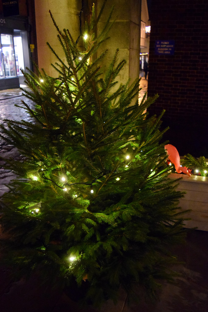 Christmas Tree at Wrapped, Canterbury