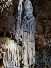 Grotte de Clamouse_154705