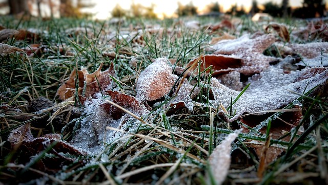 December 7 - Frosty flakes
