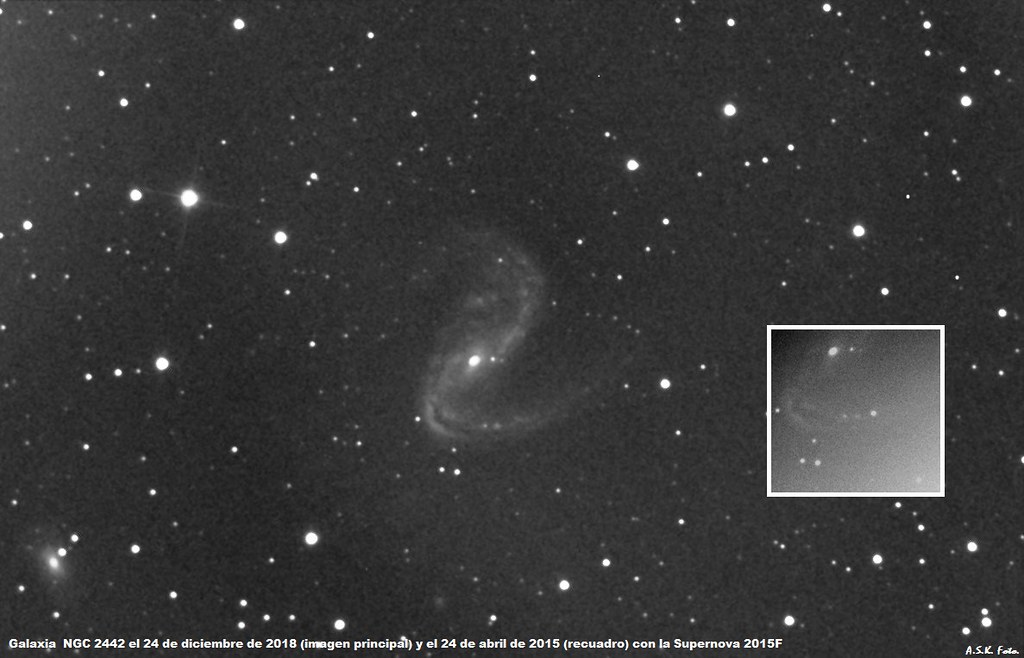 Galaxia NGC 2442 con y sin Supernova