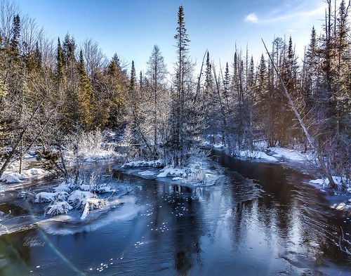 rapidriver kalkaska county blue sky clear water cedar swamp fernridge mi michigan winter january2019