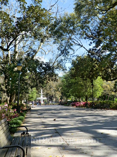 forsyth park walkway