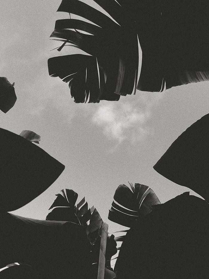 Photodiary-Canary-Islands-7