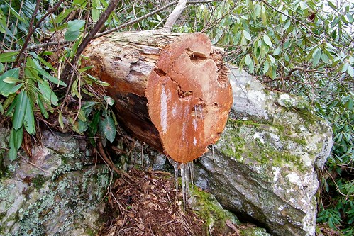 linville gorge wilderness pisgah burke north carolina icecycle tree rock