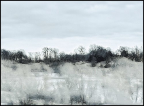 ethereal winterwhite treessilhouettes landscape snow winter missouri