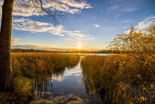 canon eos 5ds 5dsr glen lake minnetonka minnesota mn reeds marsh autumn sunrise woods nature landscape hdr trees fall bare cold blue sky clouds reflection leaves forest