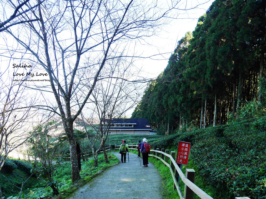 新竹一日遊必玩景點推薦山上人家景觀餐廳森林咖啡館 (47)