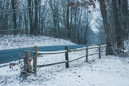 Snowy fence