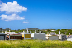 Curacao Cemetery